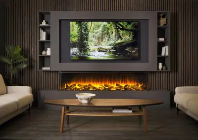 New Forest Electric Fire 1900