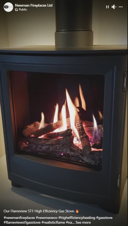 Phoenix 555-T Electric Stove